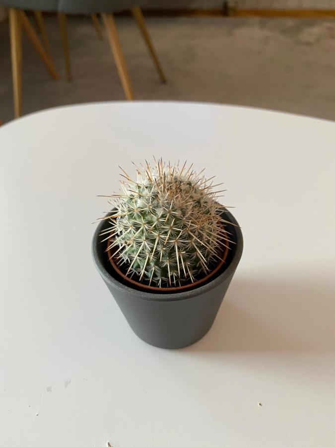 Apartment Cactus 021 Нови Сад Екстериор снимка