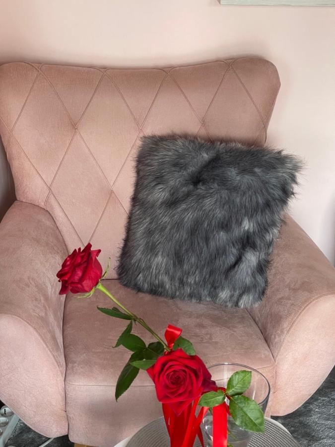 Apartment Cactus 021 Нови Сад Екстериор снимка